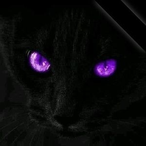 Meet your Posher, Deb